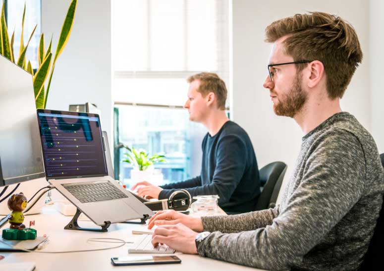 разработки сайта на WordPress и подключение к срм