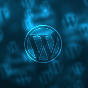 разботка сайтов на wordpress